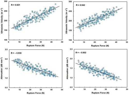 FIGURE 5 Correlations between ultrasonic velocity and rupture force for Shomali (top left) and Karaj (top right) cultivars and between attenuation and rupture force for Shomali (bottom left) and Karaj (bottom right) cultivars. The solid line is the regression line.