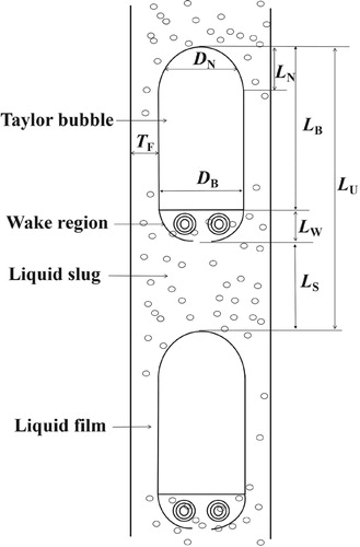 Figure 2. Sketch diagram of the upward slug unit.