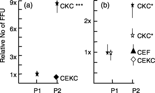 Figure 4. Relative increase of the number of MDV FFU in p2. 4a: p1 RB-1B-infected CKC were trypsinized and the cells were passed to CKC or CEKC (experiment 2). 4b: p1 RK-1-infected CKC were trypsinized and the cells were passed to CKC, CEF, or CEKC (experiment 3). The values are based on the average counts of FFU for three individual bird samples and are expressed as the relative number of FFU in p2 compared with the number of FFU in p1. The average number of FFU for the three birds in p1 was set at 1. The open and closed symbols in (b) are representing the same birds in p1, but cells were passed to CKC and CEKC (open symbols) or CKC and CEF (closed symbols). Note that the scales for (a) and (b) are different. Significant differences: * P<0.05 and *** P<0.001 using Student's t test; vertical bars indicate the standard deviation.