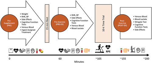Figure 2. Overview of experiment study timeline. RHR represents resting heart rate, BP represents blood pressure.