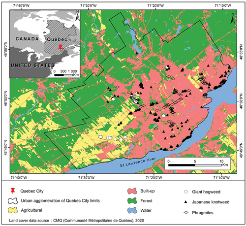 Figure 1. Study area limits and reference data locations of invasive alien plant species (giant hogweed, Japanese knotweed, and phragmites).