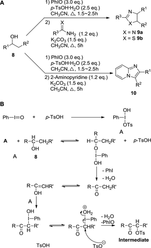 Figure 3 (A) PhIO-mediated construction of thiaozles, imidazoles, and imidazo[1,2-a]pyridines. (B) Proposed mechanism of the oxidation reaction in step I.
