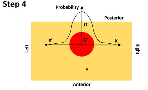 Figure B2. Step 4 – deriving the probability along the left-right axis.