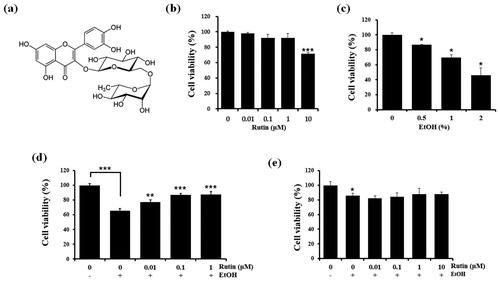 Figure 1. Chemical structure of rutin (a).and cell viability of rutin and ethanol treated HepG2 cells and zebrafish larvae. (b) Viability of HepG2 cells treated with different concentrations of rutin (0–10 μM) for 1 day. (c) Viability of HepG2 cells at different concentration of ethanol (0–2%). (d) Viability of HepG2 cells treated with ethanol and rutin. (e) MTT assay of zebrafish larvae (4 dpf) incubated with different concentrations of rutin (0–1 μM) and 2% ethanol for 24 h. Data are means ± SEM of triple independent experiments. *p < 0.05, **p < 0.01, and ***p < 0.001.