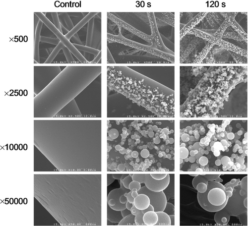FIG. 4 SEM images of the pristine (control) filter and the antimicrobial filters with nanoparticle deposition times of 30 s and 120 s, respectively.