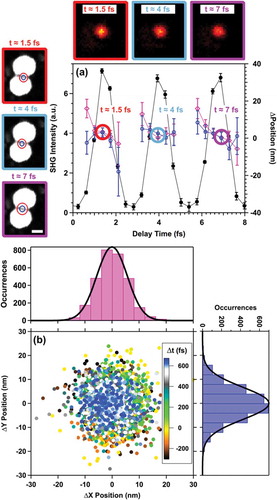 Figure 13. Analysis of positional stability of the microscope during a time scan of the inter-pulse delay between phase-locked pulse replicas. (a) Measured SHG image contrast-detected interferogram (black filled circles) overlaid with the measured spatial position (open markers) and localization accuracy (error bars) determined at different time steps along the interferogram. (top) SHG images at time points indicated with color-coded rings and labels. (left) Corresponding SEM images with localization analysis results overlaid, also arranged by color-coded outlines and labels. Scale bar represents 25 nm. (b) Scatter plot of (x, y) centroid positions determined from localization analysis over the temporal range of the interferogram. The histograms report deviations in the x- (top) and y- (right) directions over the entire scan. The histograms were fit with Gaussian distribution functions, which revealed that the position of the point source deviated by less than 10 nm over the entire course of the time-resolved measurements, which is more than sufficient for distinguishing localization points in a nanolens structure. Adapted with permission from reference 7