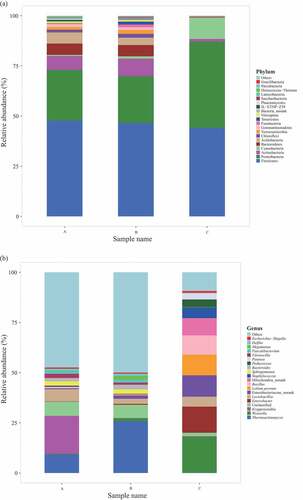 Figure 2. Analysis of prokaryotic community composition in three samples (A, premium-grade Daqu; B, first-grade Daqu; C, general-grade Daqu) using high-throughput sequencing. Results of taxonomy at the phylum level and genus level are shown in (a) and (b), respectively. The relative abundance defines sequence percentages in samples as depicted by the colors in the bar chart. The top 20 phyla and genera detected in RSF Daqu are shown in (a) and (b), respectively. The rest of phyla and genera detected in all samples were classified as others