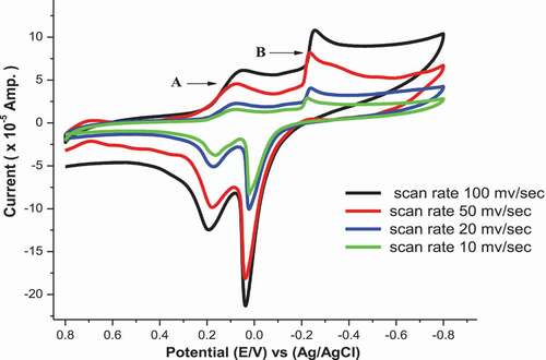 Figure 11. Cyclic voltammogram of CoCl2 at different scan rates at final adding in absence of H2BHNH at 298.15 K