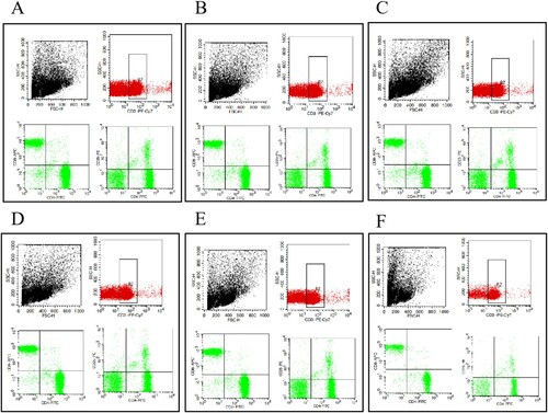 Figure 4. Splenic T lymphocyte subpopulations of control group(A), CTX group(B), VAL group(C), VAM group(D), VAH group(E) by flow cytometry.