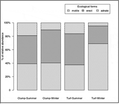 Fig. 4. Contribution of the different life ecological forms of the benthic diatoms (i.e. motile, erect, adnate) to total diatom abundance at each turf and clump per season (i.e. winter and summer)