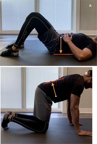 Figure 7 (A and B) Both the abdominal draw-in maneuver (A) and quadruped exercise (B) have been found to increase activation of the transversus abdominis muscle as well as recruit other core stabilizers such as erector spinae, multifidus, and oblique abdominal muscles.Citation47 In both exercises the anterior abdominal wall (white dot) should be drawn in toward the spine as depicted by the orange arrow.