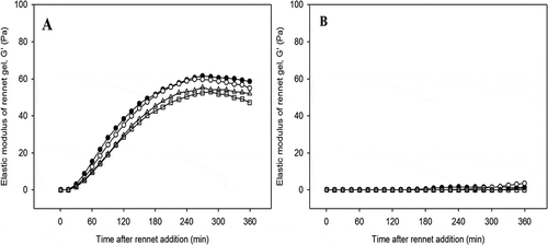 Figure 4. Representative graphs of elastic modulus (G′) as a function of time for rennet-induced gels made from enzyme treated low heat (A) and high heat treatment (B) milk with rennet concentrations of 0.00 (●), 0.01 (○), 0.02 (Δ), and 0.03 (□) IMCU mL−1. Gels were made at 30oC and cooled down to 5oC.