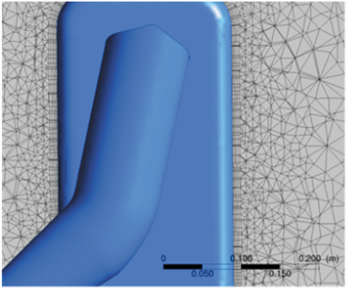 Figure 6. Whole domain meshing.