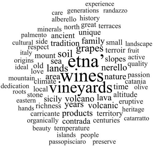 Figure 3. Word cloud of wineries’ websites.