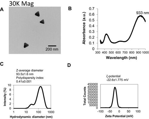 Figure 1 Physicochemical characteristics of TAgNPs were determined. (A) An electron micrograph shows the triangular structure of TAgNPs. (B) The UV-Vis spectrum of a 6.25 µg/mL TAgNPs in water is shown. (C) The hydrodynamic and (D) ζ-potential of 6.25 µg/mL TAgNPs in water are shown. Data in c and d are representative of triplicate independent measurements, and mean values with standard deviations are displayed.