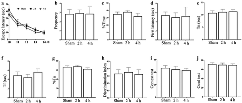 Figure 2. Effects of exposure to 5.8 GHz microwave on ethology. (A) Escape Latency in MWM, (B) Frequency to crossing the plateau in MWM, (C) Percentage of time spent in plateau quadrant in MWM, (D) The latency of the first arrival to the plateau in MWM, (E) Exploring time of novel object in NOR, (F) Exploring time of familiar object in NOR, (G) Percentage of time spent in exploring the novel object in NOR, (H) Discrimination index in NOR, (I) Percentage of freezing time in context test of FCT, (J) Percentage of freezing time in cued test of FCT.