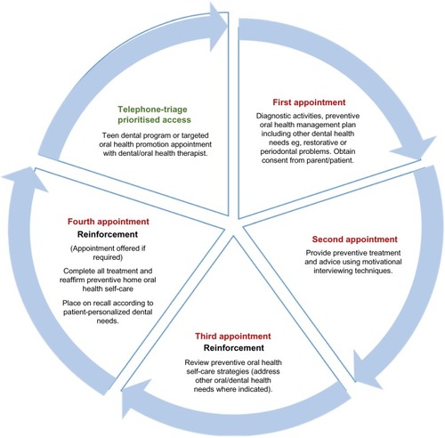Figure 2 Adolescents on government benefit scheme and prioritized high-risk groups clinical pathway to preventive care depicted by clinical directors and health service managers in four local health districts.