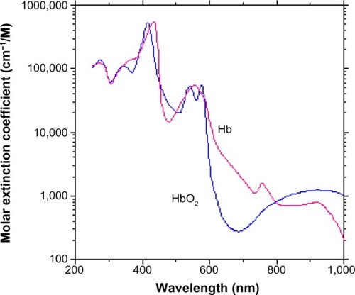 Figure 1 Absorption spectra of the oxygenated and deoxygenated hemoglobin molecules.