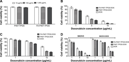 Figure 10 Cell viability of blank micelles and cytotoxicity of DOX and DOX-loaded micelles.Notes: (A) Cell viability of WRL-68 cells after 24-hour treatment with P407-TPGS or FA-P407-TPGS micelles was determined by alamarBlue® cell viability assay. Cytotoxicity assessment of free DOX and DOX-loaded P407-TPGS or FA-P407-TPGS micelles by alamarBlue® assay is shown for (B) DOX-sensitive SKOV3 cells and (C) SKOV3-DOX cells. (D) Cytotoxicity of DOX or DOX-loaded micelles in SKOV3 and SKOV3-DOX cells in medium supplemented with 2 mM FA.Abbreviations: DOX, doxorubicin; P407, poloxamer 407; TPGS, D-α-tocopheryl polyethylene glycol succinate; FA, folic acid; SKOV3-DOX, DOX-resistant SKOV3.