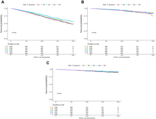 Figure 2 Kaplan-Meier survival curves for all-cause (A), cardiovascular (B), and cancer (C) mortality by high density lipoprotein cholesterol groups.