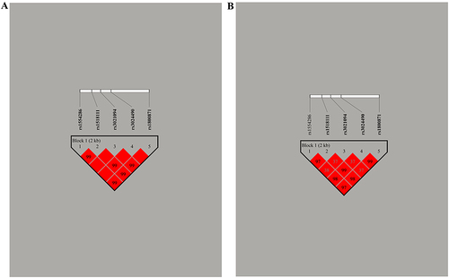 Figure 1 Haplotype block map for the IL-10 genetic loci (rs1554286, rs1518111, rs3021094, rs3024490, rs1800871). (A) The numbers inside the diamonds indicate the D’ for pairwise analyses. (B) The numbers inside the diamonds indicate the R2 for pairwise analyses. The colors represent the degree of linkage disequilibrium: the redder the color, the stronger the linkage disequilibrium.