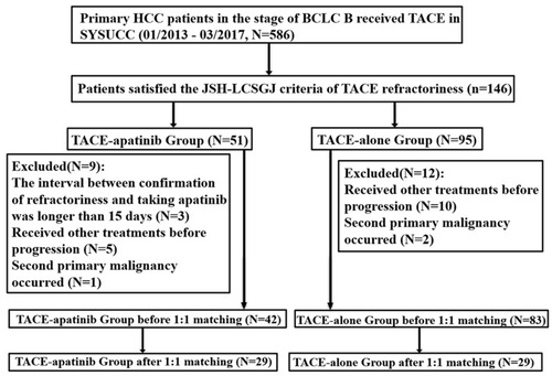 Figure 1 The flow diagram of this study.Abbreviations: HCC, hepatocellular carcinoma; BCLC, Barcelona Clinic Liver Cancer; JSH, Japan Society of hepatology; LCSGJ, Liver Cancer Study Group of Japan; TACE, transcatheter arterial chemoembolization.