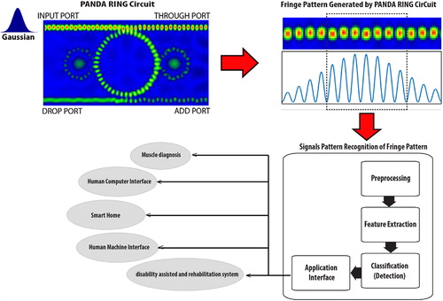 Figure 4. Shows the schematic diagram of fringe pattern generation and interpretation using the proposed design system, where the ring radii varied from 1.365 to 1.665 μm.