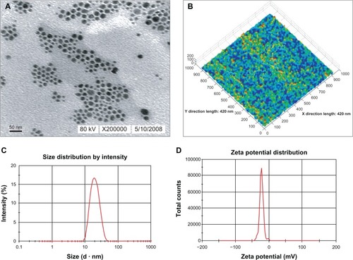 Figure 2 (A–D) Characteristics of the BSA NEDDS. (A) Transmission electron micrograph of the BSA NEDDS; (B) atomic force microscopy; (C) particle-size distribution; (D) zeta-potential distribution.Abbreviations: BSA, bovine serum albumin; NEDDS, nanoemulsion drug-delivery system.