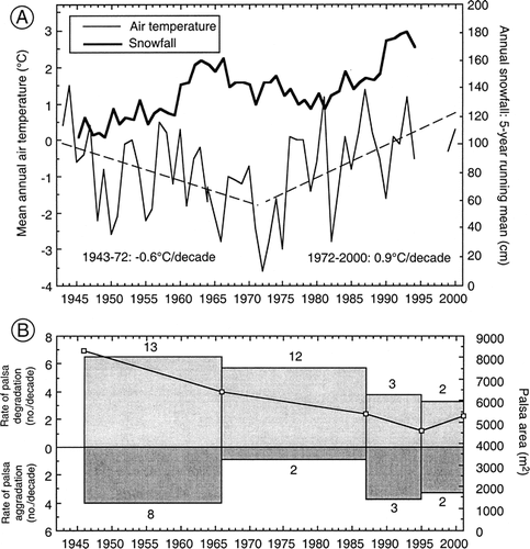 FIGURE 9. (A) Whitehorse Airport mean annual air temperature and 5-yr running mean of annual snowfall for 1943–2000 (data from Environment CitationCanada, 2002) and (B) Rates of aggradation and degradation of palsas (bar chart), and total palsa area (solid line) at Wolf Creek study site based on analysis of aerial photographs (see Fig. 8). In (A), Environment Canada data for 1995–1998 are missing; best-fit lines for air temperature derived for 1943–1972 and 1972–2000. In (B), values outside bars on the lower graph are the numbers of palsas that aggraded or degraded within a given time period. Degradation is shown above the line and aggradation below the line to make comparisons with air temperature easier. Note: small palsas that are not visible on the aerial photographs are omitted from the analysis