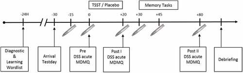 Figure 1. Schedule of a test day. Display full size = measurement of physiological data (Cortisol, sAA, Blood Pressure); Memory Tasks were conducted in the following order: Wordlist, WST, AMT; Time shows minutes, except for 24H (24 hours before test day).