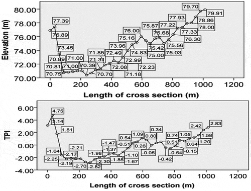 Figure 7. Comparison between the original DEM and TPI along the cross-sectional profile (red line).