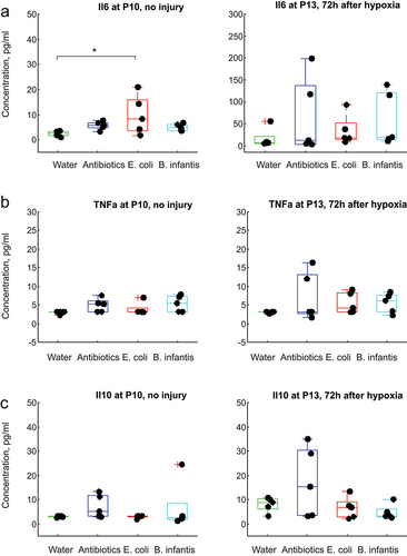 Figure 9. Cytokines serum concentrations before and after global hypoxia without carotid ligation. *-p < 0.05, ** - p < 0.01 on post-hoc tests.