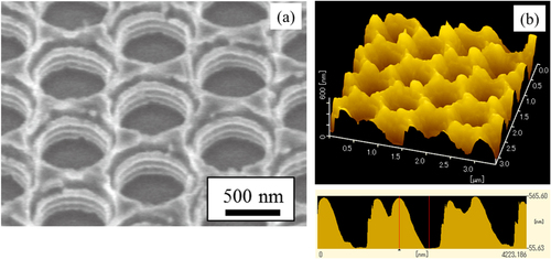 Figure 4. (a) SEM image of the sample after four repeated etching steps using resist and SiO2 interlayer as a mask. The etching depth is set to 100 nm for each step. (b) SPM image of the sample after six repeated etching steps using resist and SiO2 interlayer as a mask. The depth of 490 nm is obtained.