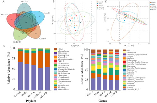 Figure 5. AS-IV affects the composition of gut microbiota in mice with acute alcohol-induced liver injury (n = 5). (A) Venn analysis of bacterial OTUs composition between Control, Model, AS-IV-L, AS-IV-M, and AS-IV-H groups. (B,C) Principal component analysis based on weighted and unweighted UniFrac. (D) Distribution of intestinal flora at phylum and genus level, respectively.