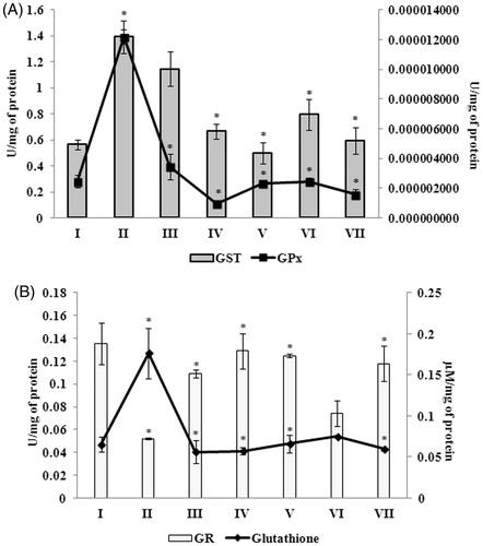 Figure 5. Effect of G. acerosa benzene extract on Aβ 25–35 induced alteration in the level of glutathione-S-transferase (GST) and glutathione peroxidase (GPx) (A), glutathione reductase (GR) and glutathione (B). *p < 0.05 [Comparisons were made between groups II (Aβ 25–35 peptide treated) Vs I (CMC treated) & III (Aβ 25–35 peptide +200 mg/kg of extract in CMC), IV (Aβ 25–35 peptide +400 mg/kg of extract in CMC), V (400 mg/kg bw of extract), VI (Aβ 25–35 peptide + donepezil), VII (1 mg/kg bw of donepezil) Vs II (Aβ 25–35 peptide treated)].