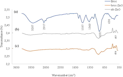 Figure 6. FTIR of (a) broc-ZnO, (b) nb-ZnO and (c) Broccoli extract.