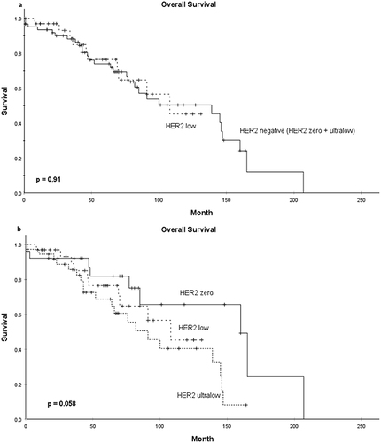 Figure 3 Kaplan–Meier curves for overall survival in primary male breast cancer. (a) Estimated survival calculated for HER2 low and HER2 negative tumors. (b) Estimated survival calculated for HER2 low, HER2 ultralow, and HER2 zero tumors.