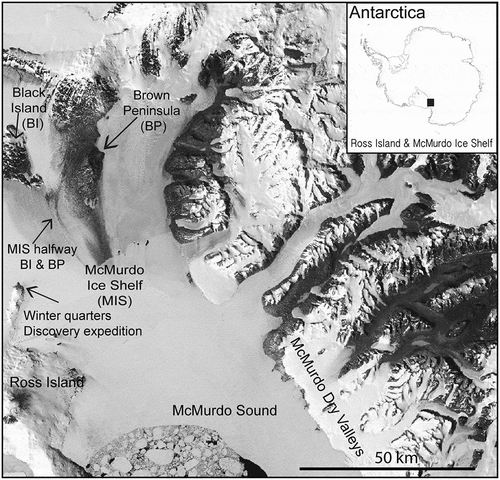 Fig. 1. Locations of the cyanobacterial mat specimens collected during Captain Scott’s “Discovery” National Antarctic Expedition at their winter quarters on Ross Island and eskers on the McMurdo Ice Shelf halfway between Black Island (BI) and Brown Peninsula (BP) in 1902–1903, with (inset) geographic location of Ross Island (RI) and McMurdo Ice Shelf (MIS) in Antarctica; black square.