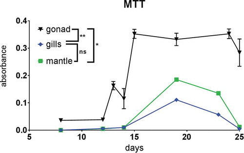 Figure 5. MTT viability test. Results are expressed as mean ± standard error of the mean (SEM). The results of MTT test between tissues were performed with the one-way analysis of variance (ANOVA) for unpaired data, followed by Tukey test for multiple post comparison. Statistically different values were obtained between gonadic cells and mantle cells (*) and between gonadic cells and gill cells (**). *P < 0.05, **P < 0.01, ***P < 0.001