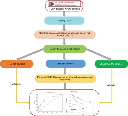 Figure 1 Flow diagram of the analysis procedure: data collection, preprocessing, analysis, and validation.Abbreviations: DEGs, differentially expressed genes; ROC, receiver operating characteristic; TCGA, The Cancer Genome Atlas.