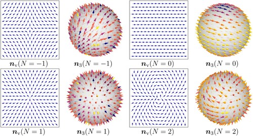 Figure 2. Two-dimensional vortex field configurations with various integers N using (Equation34(34) nv=cos⁡(Nϕ(x,t)),sin⁡(Nϕ(x,t)).(34) ) and its corresponding n3 fields on S2 of (Equation42(42) n3=sin⁡θcos⁡Nϕ,sin⁡θsin⁡Nϕ,cos⁡θ,(42) ) are shown where n3(N=1) is essentially the isotropic distribution of the hedgehog configuration nh.