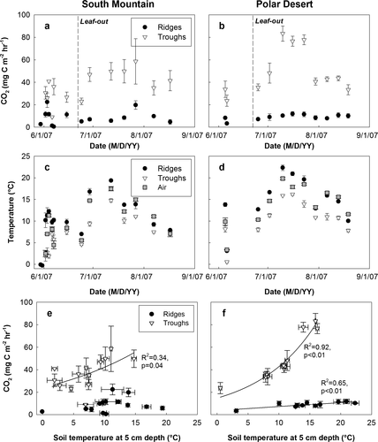 Figure 3 Seasonal pattern of soil respiration (panels a and b) from the surface of troughs and ridges and of air and soil temperature (panels c and d) at South Mountain and Polar Desert in 2007. Dashed line indicates day of leaf-out. Panels e and f show the correlation of soil respiration to soil temperature at 5 cm depth.