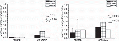 Figure 1. Mucosal damage scores (median, 25th, 75th percentiles) of ileal (ileal) and colon (right) biopsies at baseline and at 240 minutes of cardiopulmonary bypass (CPB) in the study groups and in the two sham animals.