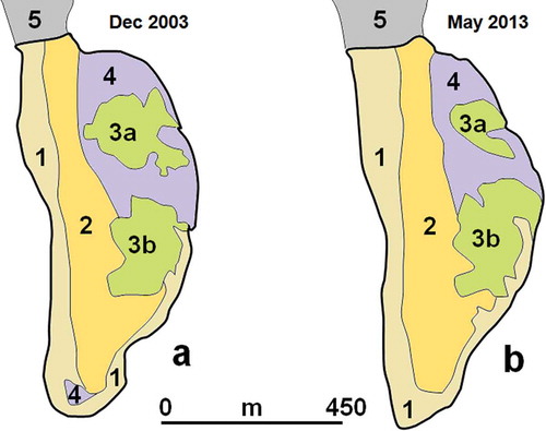 Figure 5. Changes in geomorphic features in 2003 and 2013. (1) Sea shore; (2) dune area; (3a and b) swampy micro-enclosures; (4) lowland; and (5) main land.