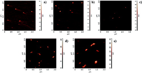 FIG. 4. AFM contact images of particles collected from flames with different equivalence ratio: (a) Φ = 1.85; (b) Φ = 1.89; (c) Φ = 1.95; (d) Φ = 2.16; (e) Φ = 2.58.