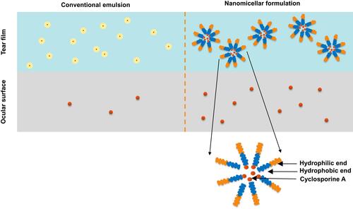 Figure 2 Suspension of cyclosporine A in emulsion vs nanomicelles.