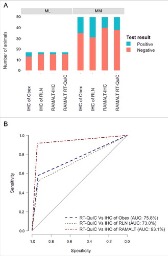 FIGURE 4. CWD status of the herd. (A) Stacked bar graph showing infectivity of different tissues from MM and ML genotypes at PrP codon 132. Red bars indicate the number of animals that are negative for CWD, while the blue bars indicate CWD-positive animals. (B) ROC curves of RAMALT RT-QuIC assay compared against other IHC tests. An AUC >90% indicates high accuracy. Among different IHC's, IHC of RAMALT has highest AUC which is 93.1%, indicating RAMALT RT-QuIC assay results were comparable to RAMALT IHC results.