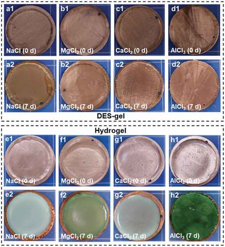 Figure 6. The chemical stability of various DES-gels and PAAm-MCln-y hydrogels. (a-d) Photos of the DES-gels-copper junctions after storing for 7 days. DES-gels are not chemically corrosive to copper sheets, indicating good chemical stability. (e-f) Photographs of PAAm-MCln-y hydrogels-copper junctions after storing for 7 d in a confined space. The hydrogels severely corrode the copper sheets