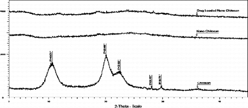 Figure 3. XRD pattern of chitosan, nanochitosan and drug-loaded nanochitosan.