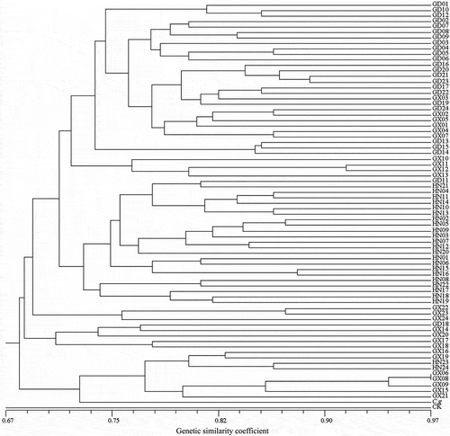 Fig. 3 Dendrogram of the 72 isolates of Rhizoctonia solani AG-1 IA based on ISSR data using Nei and Li’s similarity coefficient and UPGMA clustering method. The scale bar at the bottom represents the Li’s genetic similarity coefficient.